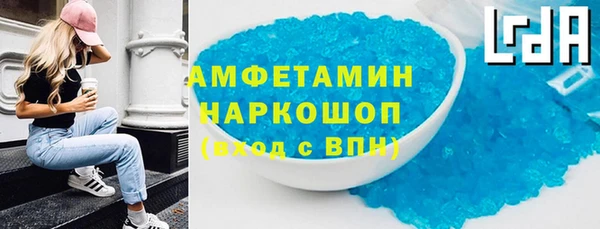 прущие грибы Беломорск