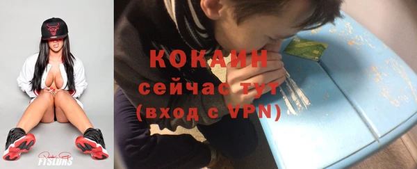 прущие грибы Беломорск