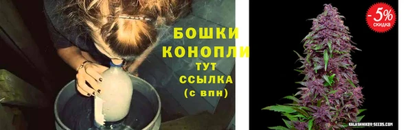 дживик Балабаново