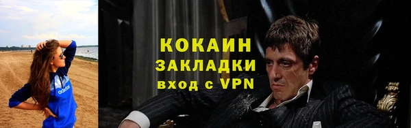 гашик Белокуриха