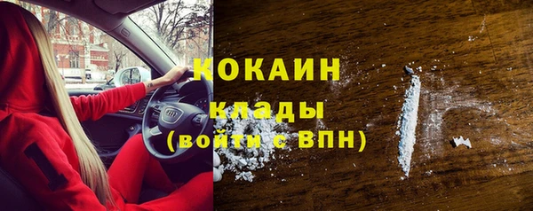 гашик Белокуриха