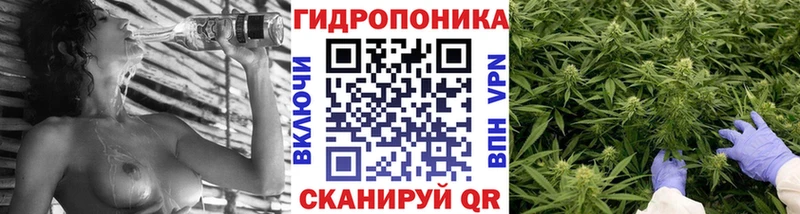 Каннабис сатива  купить  цена  Шагонар 